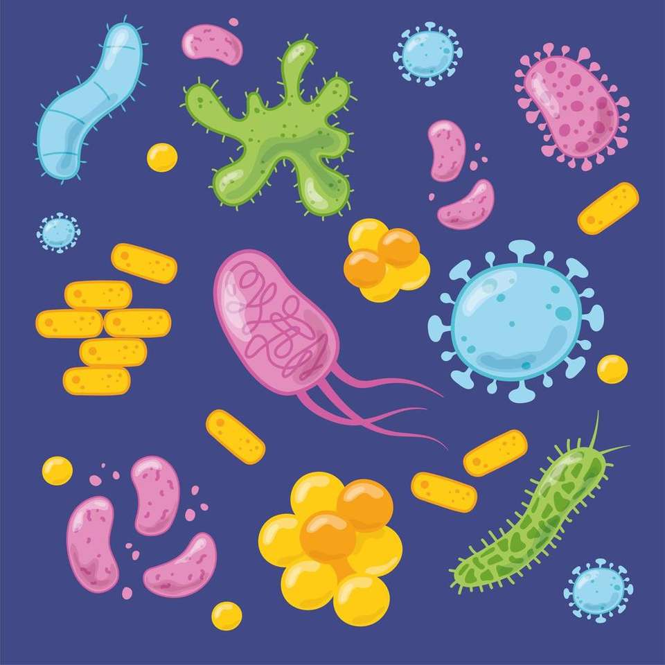 Вирус и бактерии онлайн-пазл