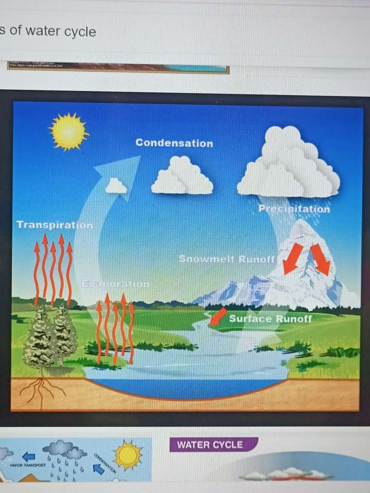Water Cycle puzzle online from photo