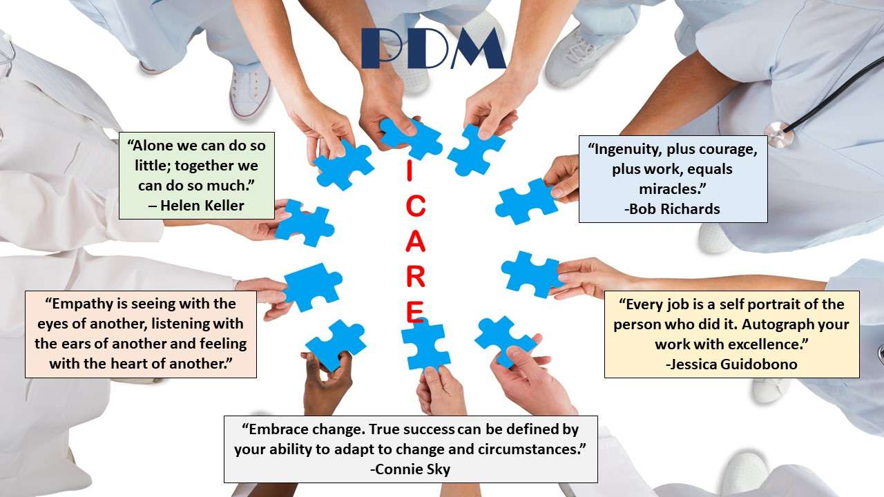 PDM ICARE-TEAM Online-Puzzle