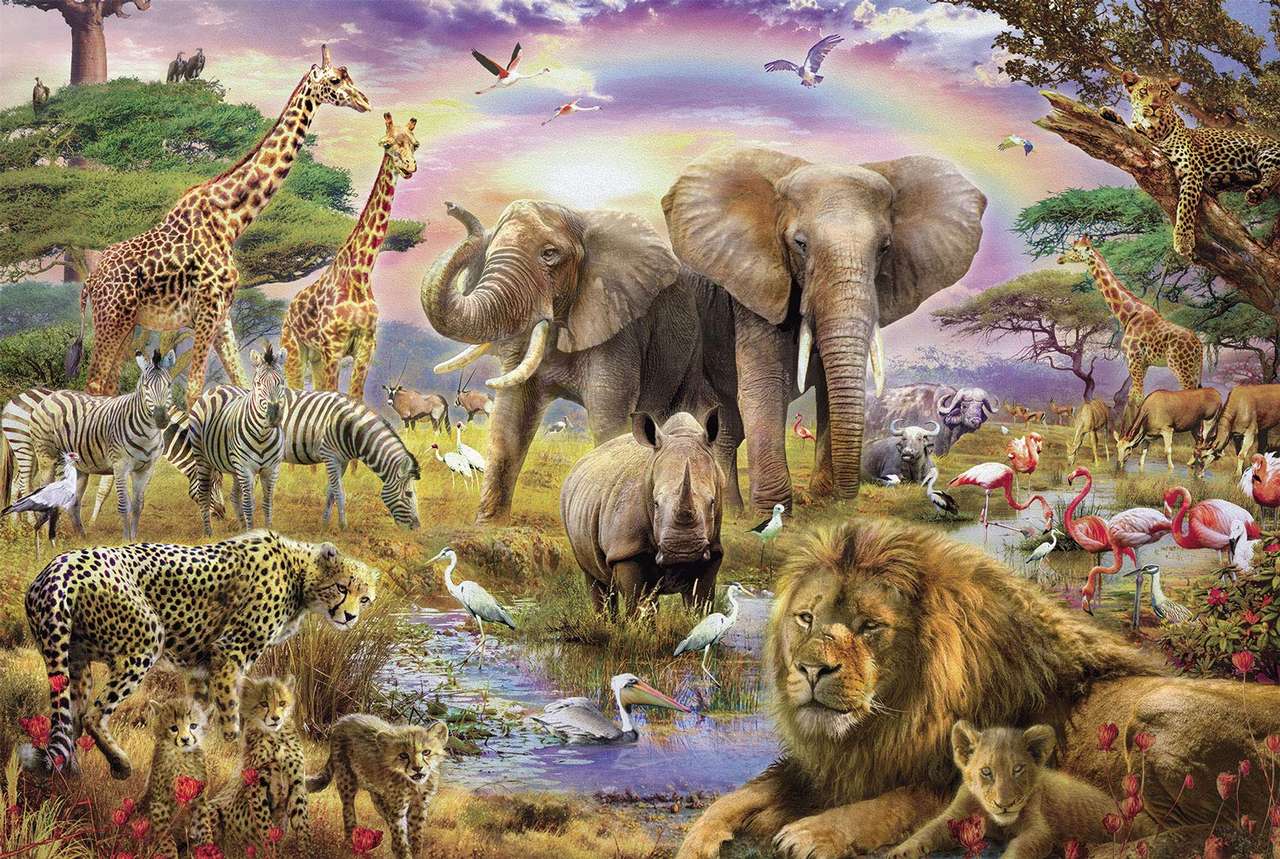 Animal Kingdom puzzle online from photo
