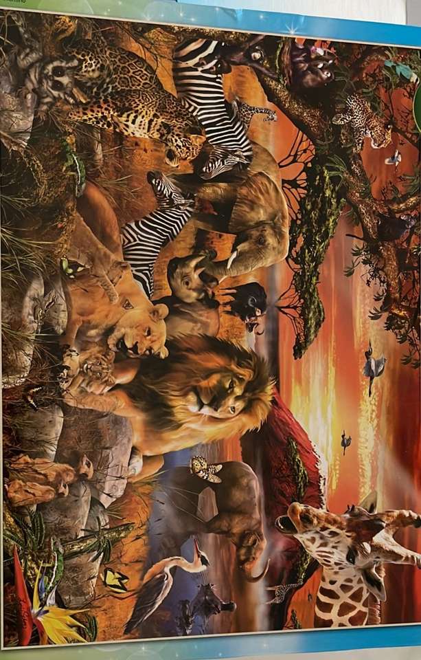 Tiger fhuff puzzle online from photo