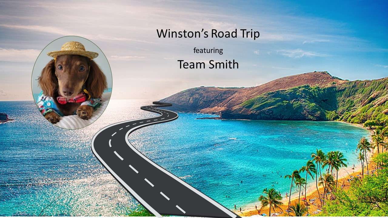 Le road trip de Winston puzzle en ligne à partir d'une photo