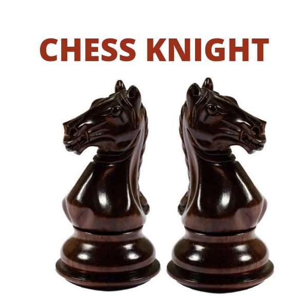 Chess knigh puzzle online from photo