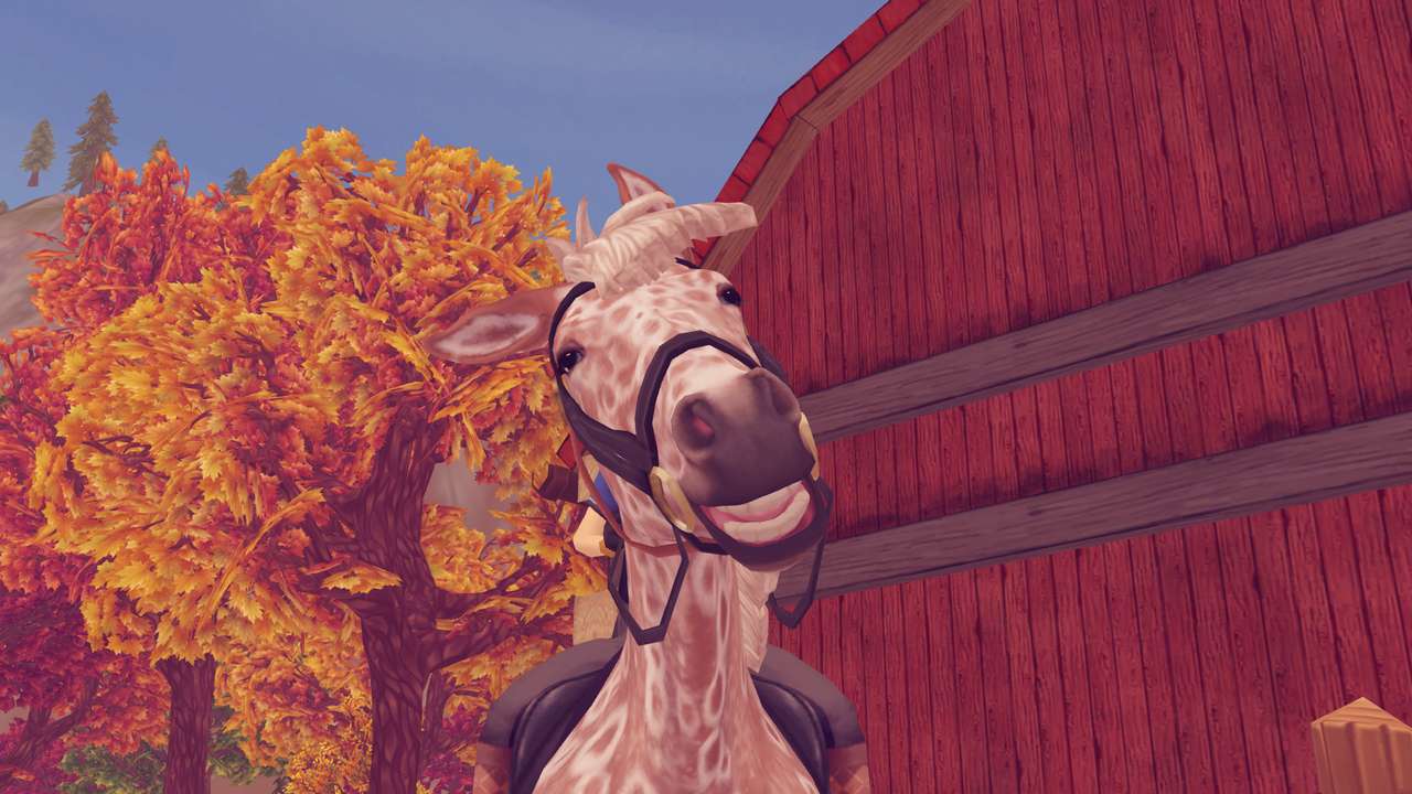 Puzzle: Appaloosův třesoucí se kůň ve StarStable online puzzle