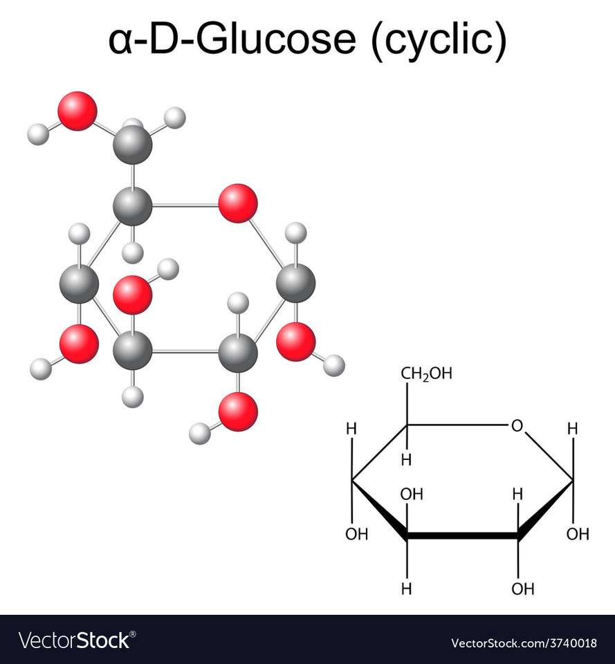 Glucose_ puzzle online from photo