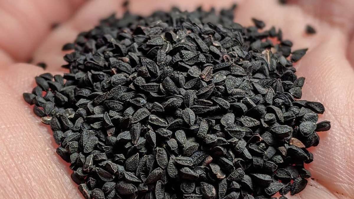 Indiens kryddor Pussel online