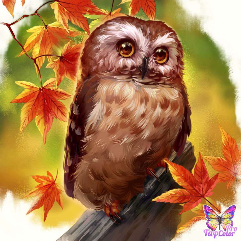 owl on tree online puzzle
