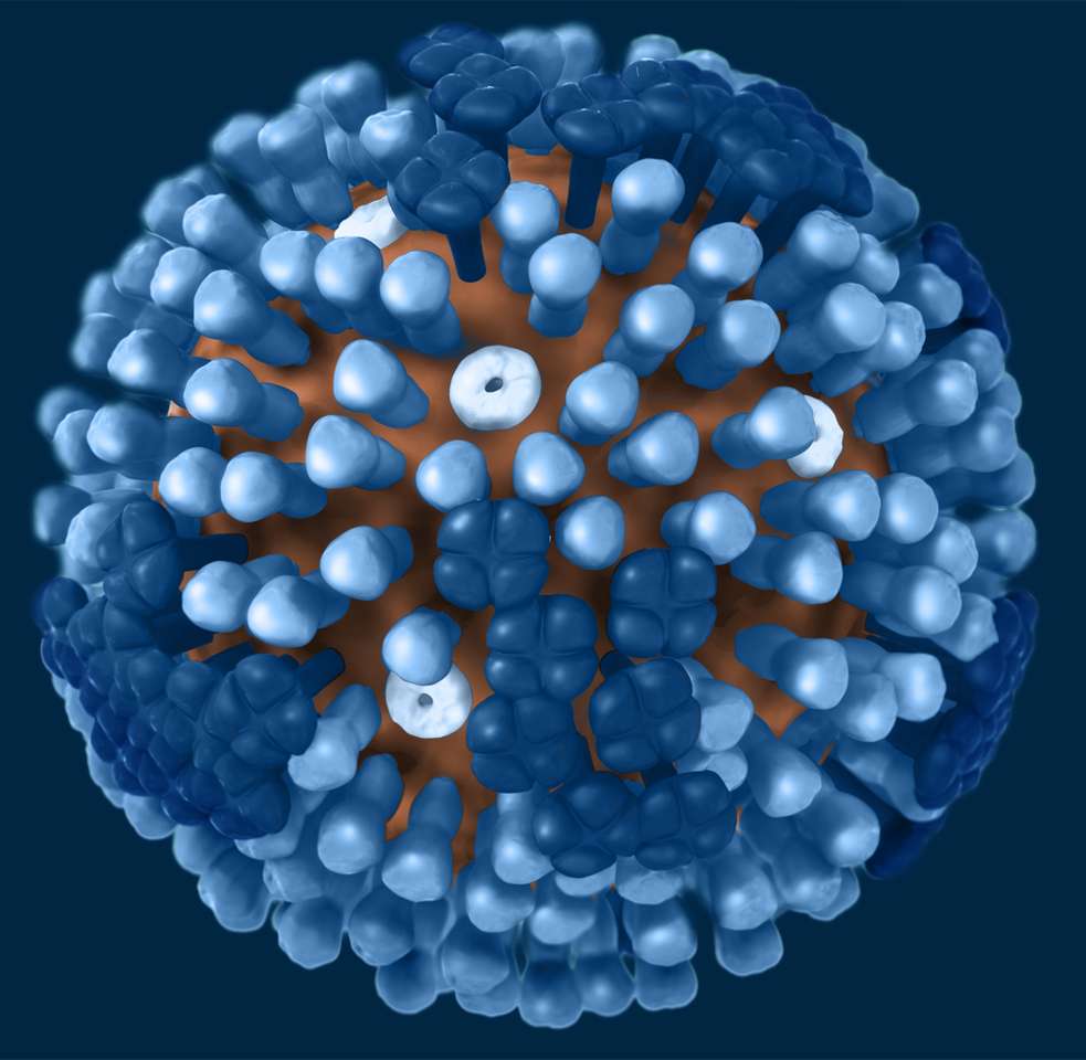 grippe puzzle en ligne à partir d'une photo