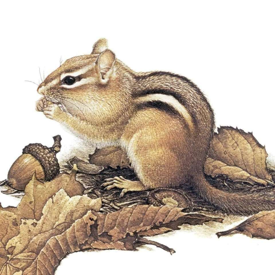 ChipMunk puzzle online from photo