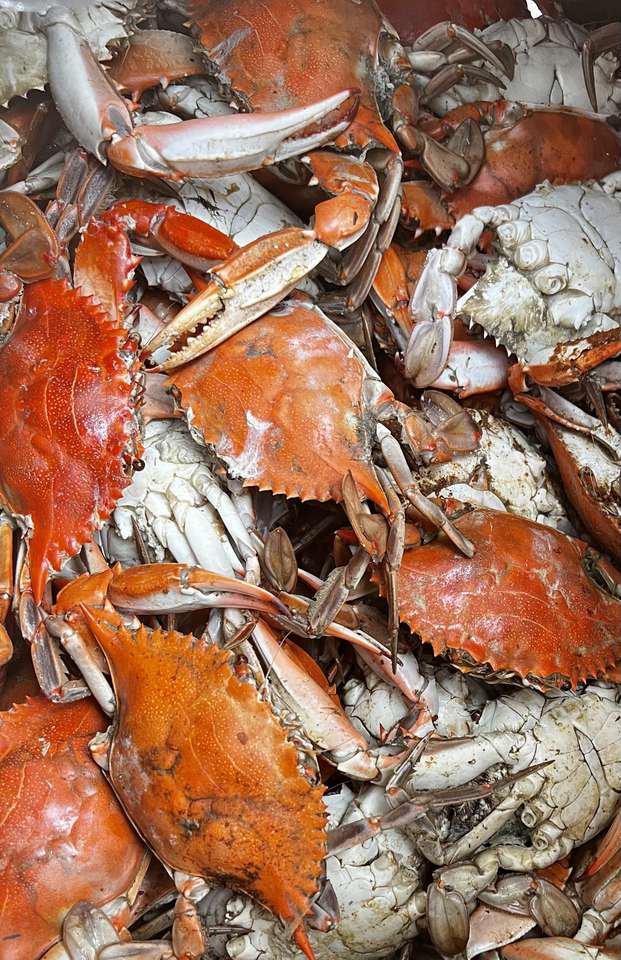 Crab Night puzzle online from photo