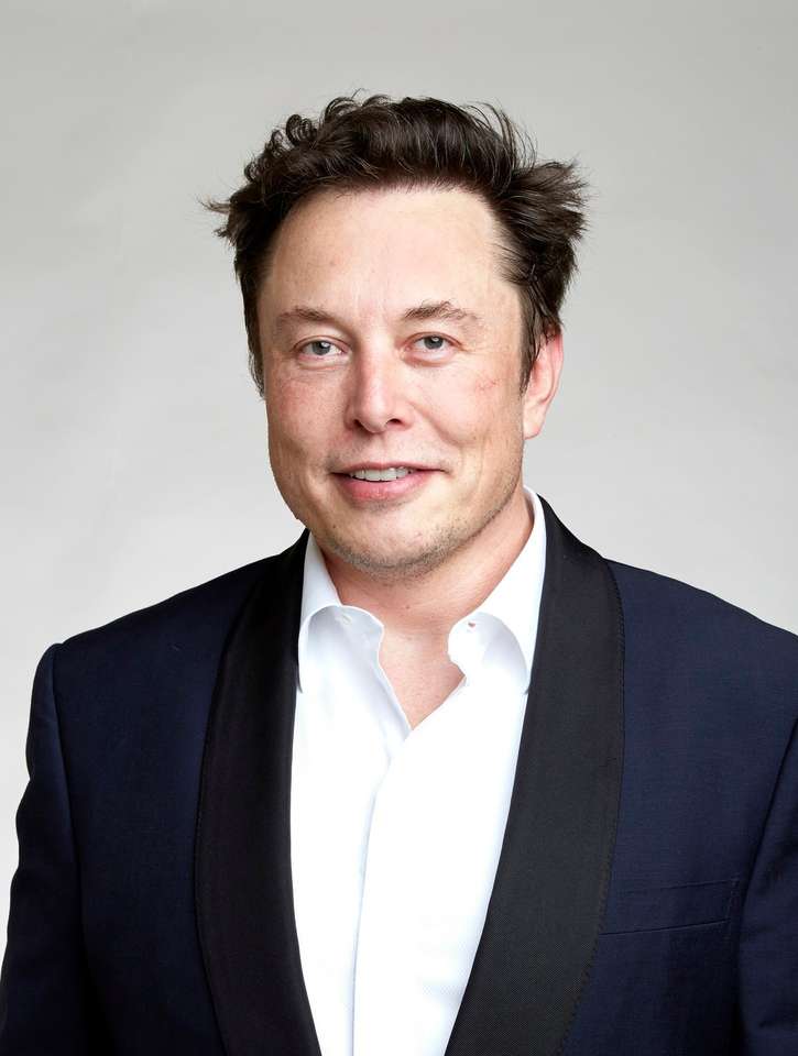 Elon musk puzzle online fotóról