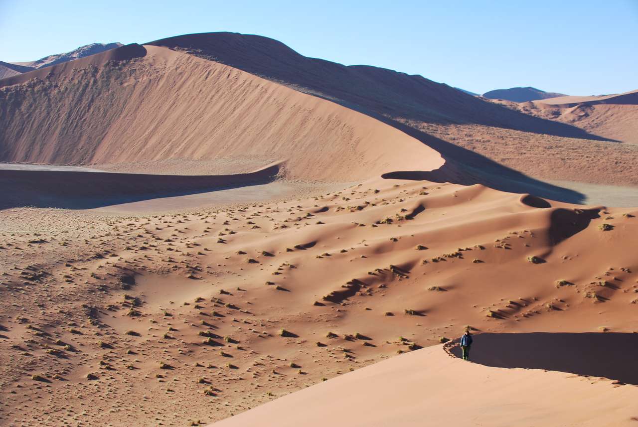 Sorra der Wüste Online-Puzzle vom Foto