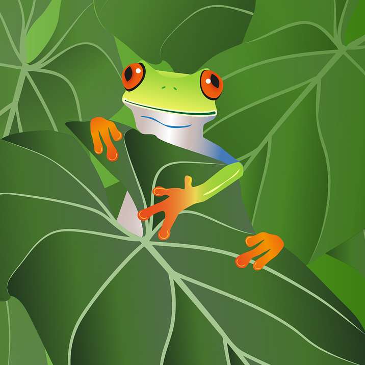 Frogfrogfrog online puzzle