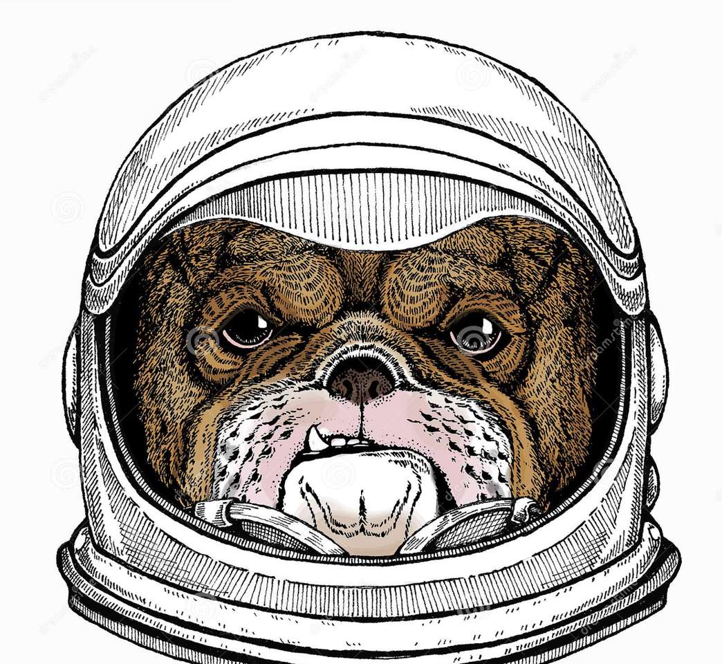 Perro espacial puzzle online a partir de foto