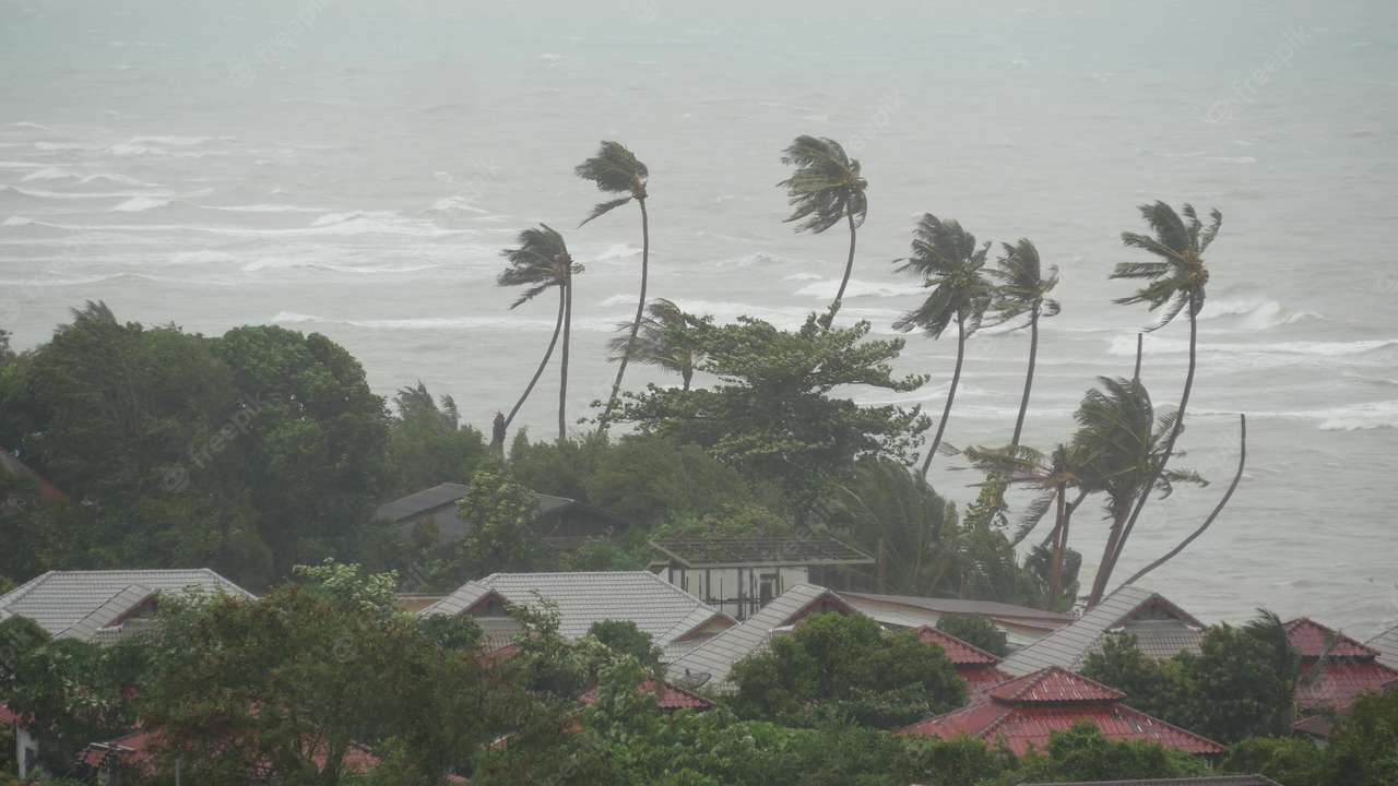 Typhoon Onderwijs puzzel online van foto