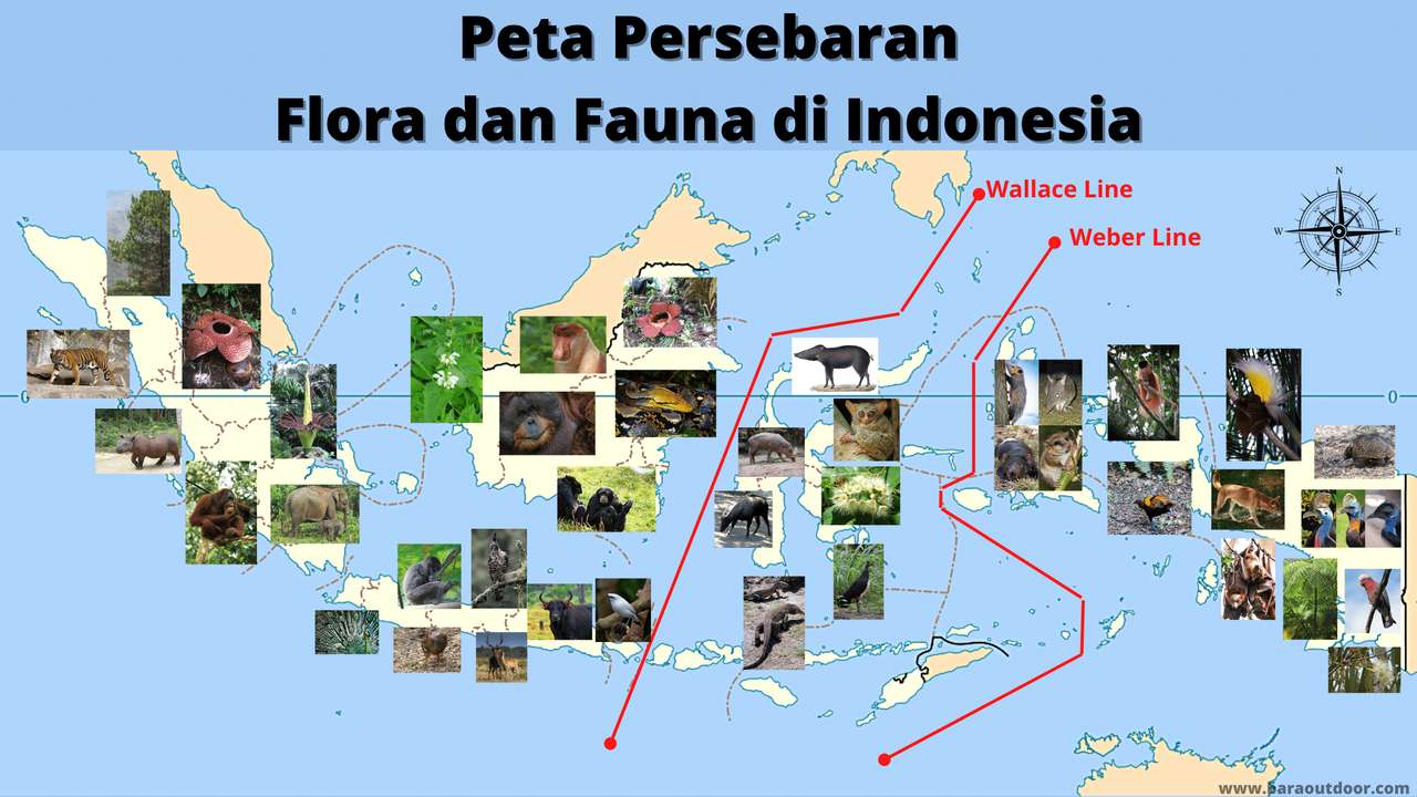 Flora Persebarana Fauna puzzle online