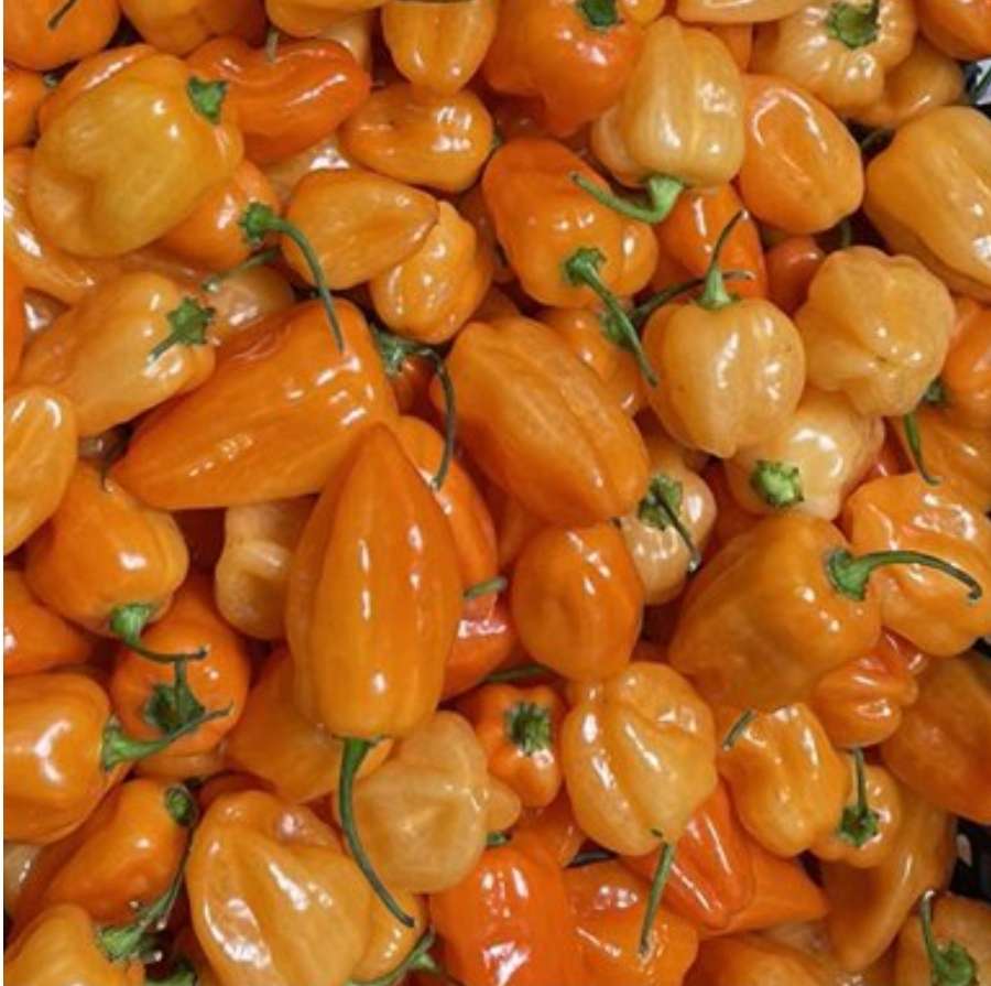 Peppers are hot puzzle online from photo