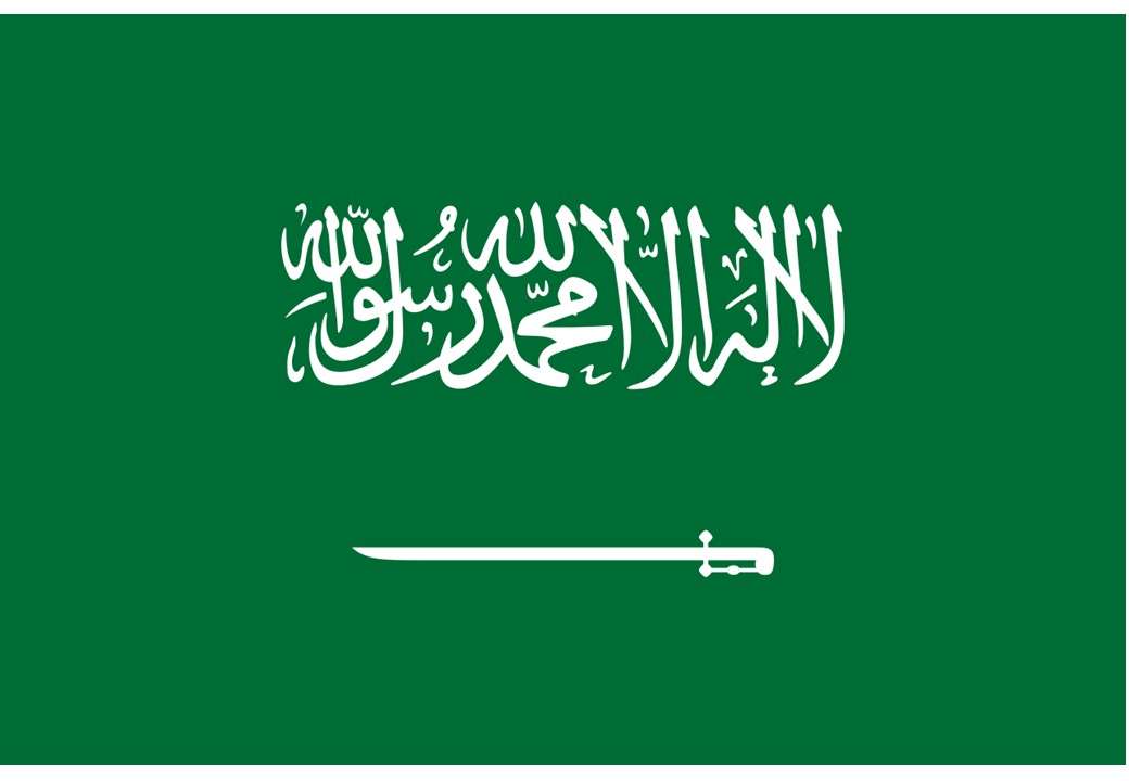 drapeau de l'Arabie saoudite puzzle en ligne