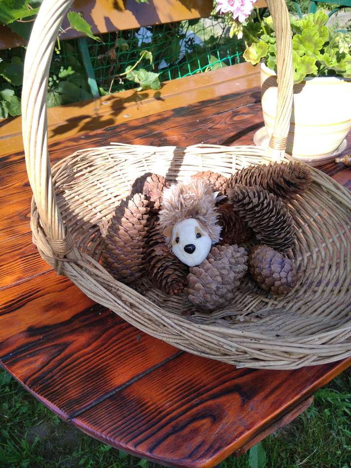 Basket with a hedgehog puzzle online from photo