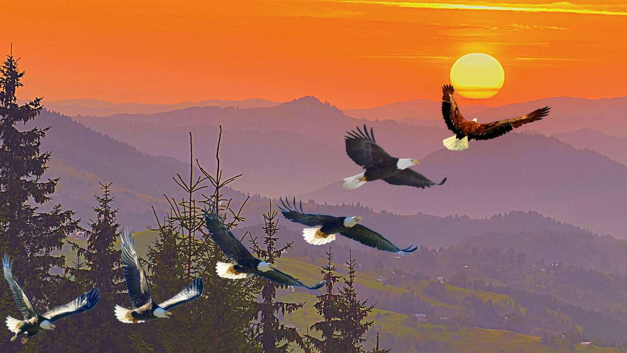vliegende adelaar puzzel online van foto