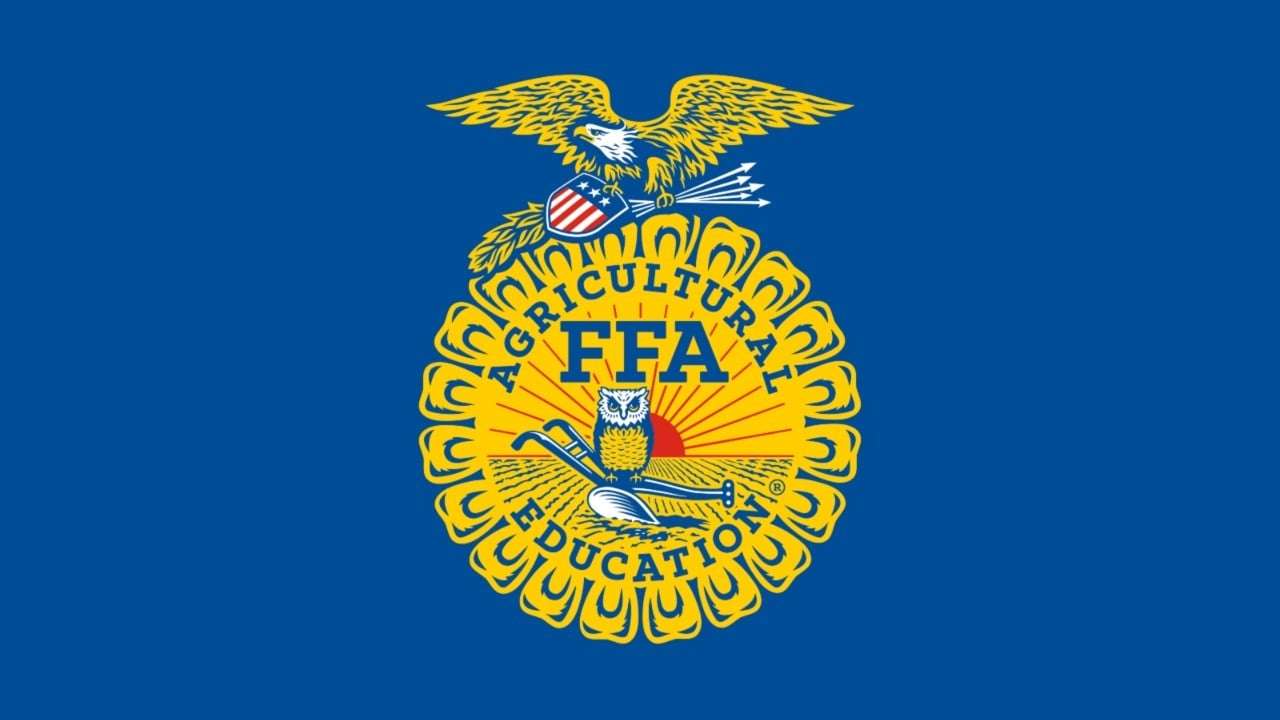 ffa emblem online puzzle