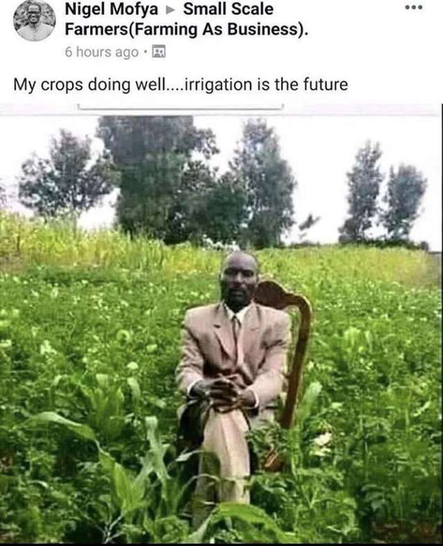 Nigel Mofya's Farm puzzle online from photo