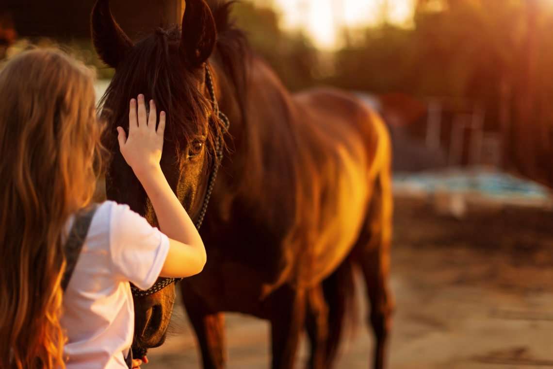 Paard in interactie puzzel online van foto