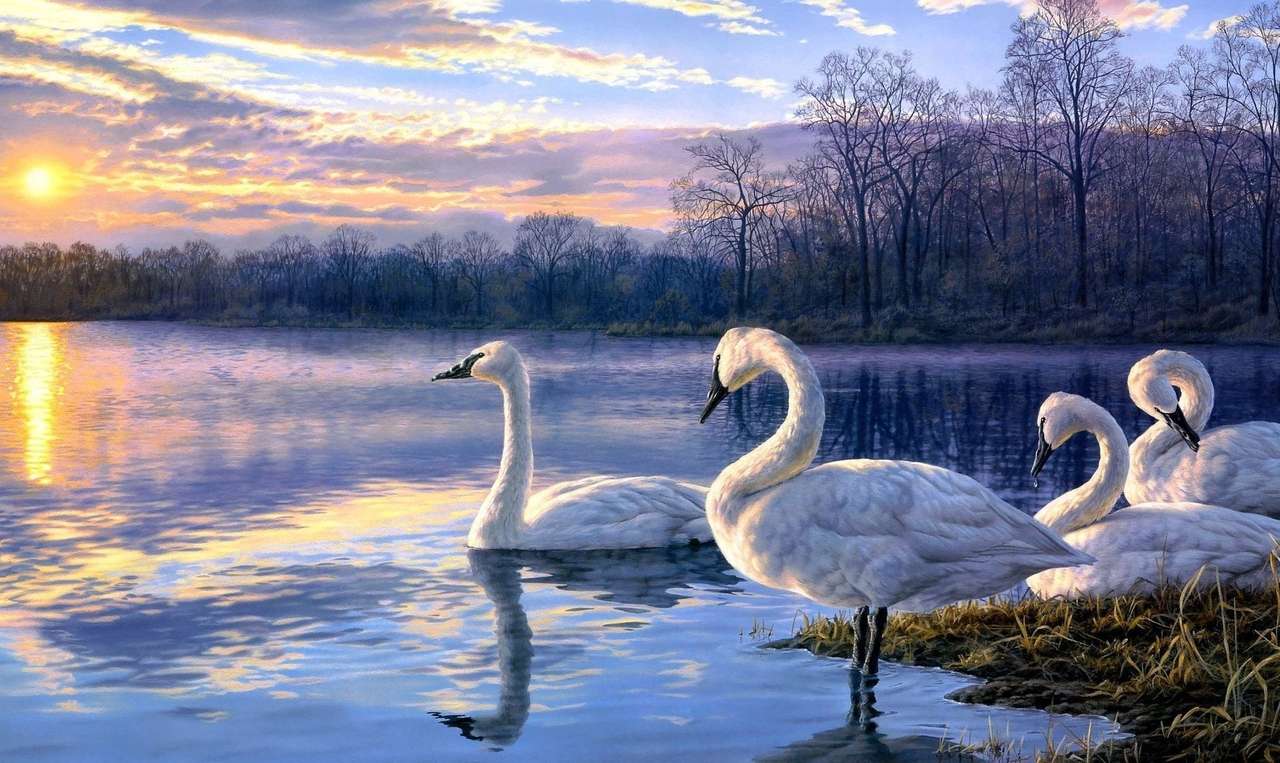 Swan Day puzzle online from photo