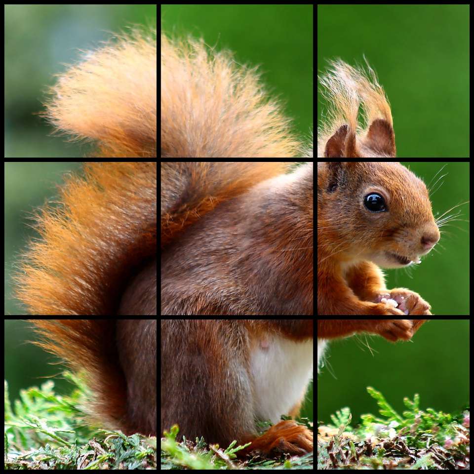 écureuil d'automne puzzle en ligne