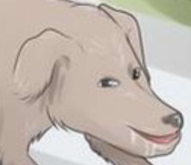 Wiki Dog pussel online från foto
