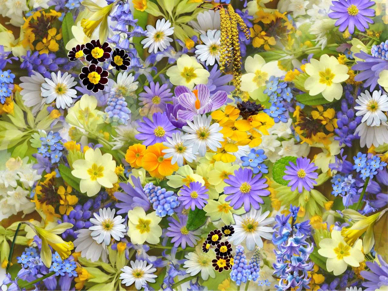 Virágmező puzzle online fotóról
