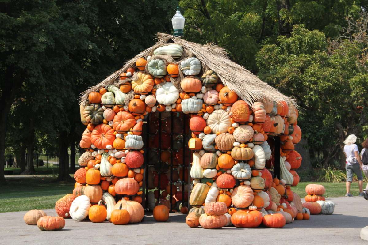 House of Pumpkin online παζλ