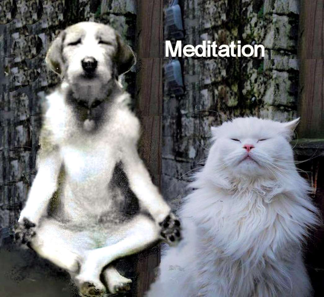 Инта медитира онлайн пъзел