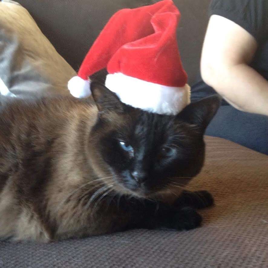 Рождество Коко пазл онлайн из фото