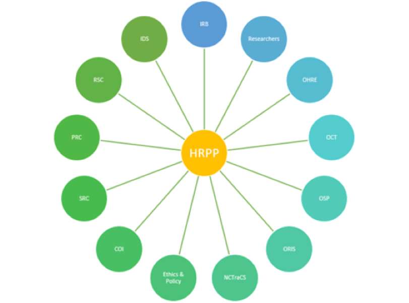 Puzzle HRPP puzzle online da foto