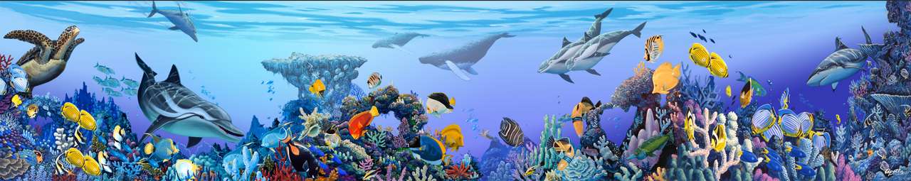 apollo reef puzzle online from photo
