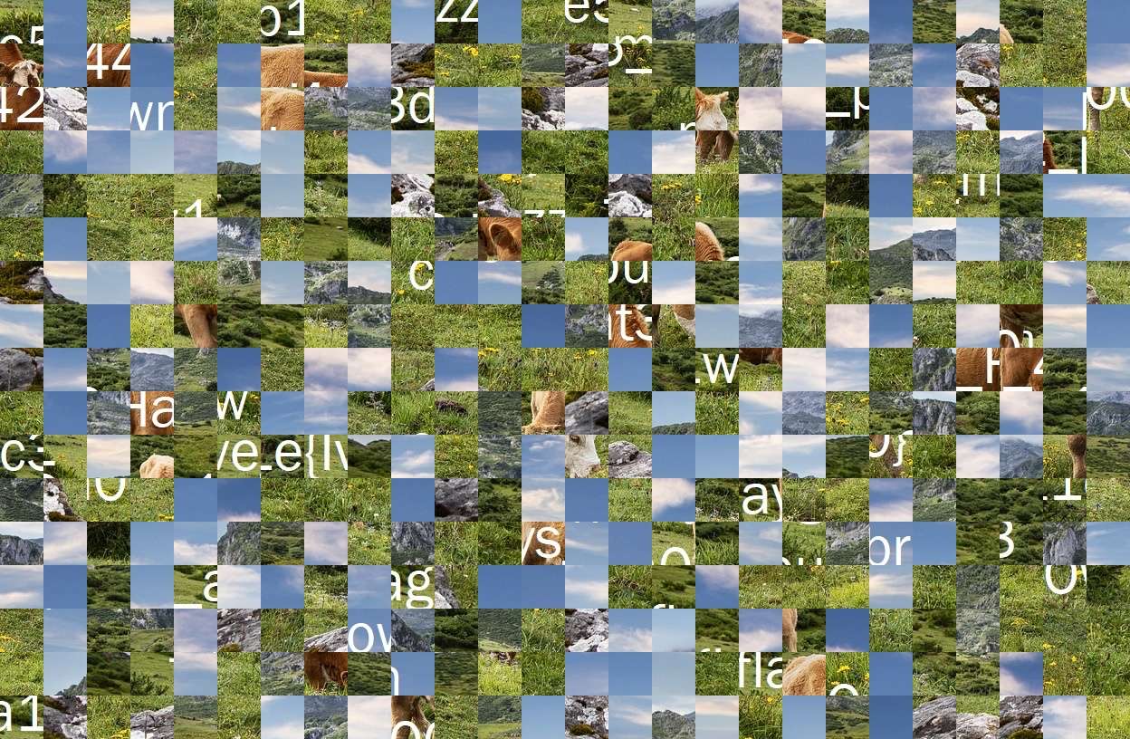fsdfcxcx online puzzle