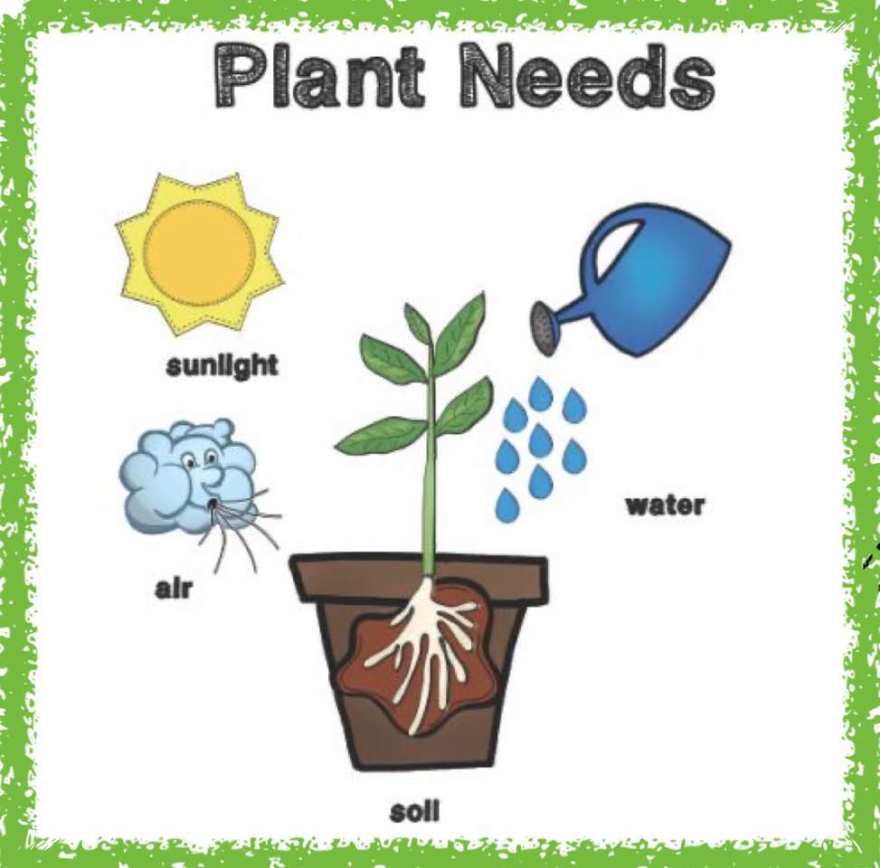 A növénynek szüksége van puzzle online fotóról