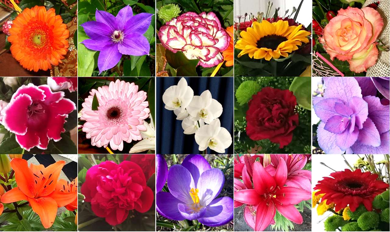 Színes virágok online puzzle