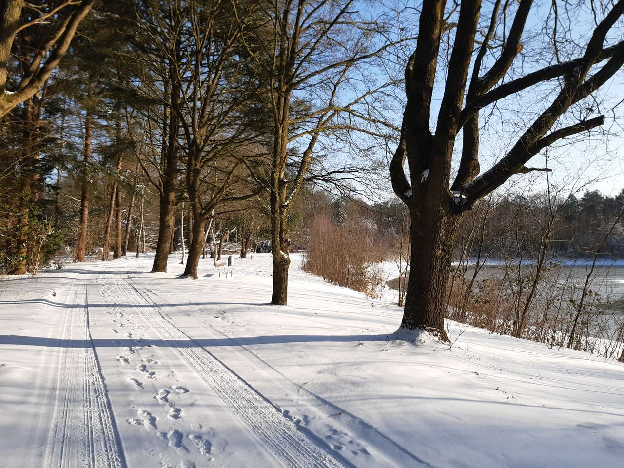 Fotspår i snön pussel online från foto