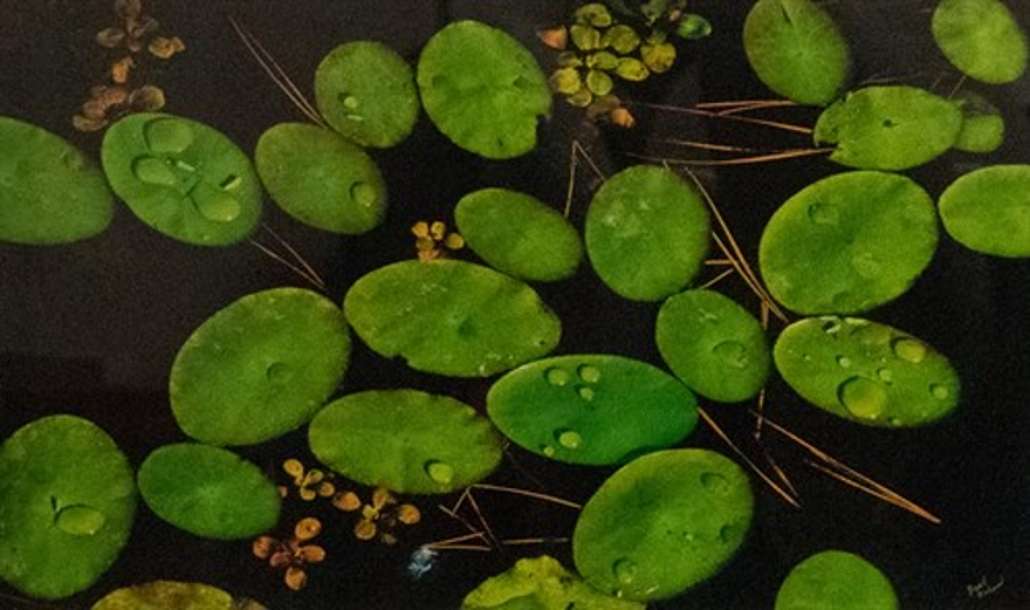 Lilypads puzzle online from photo