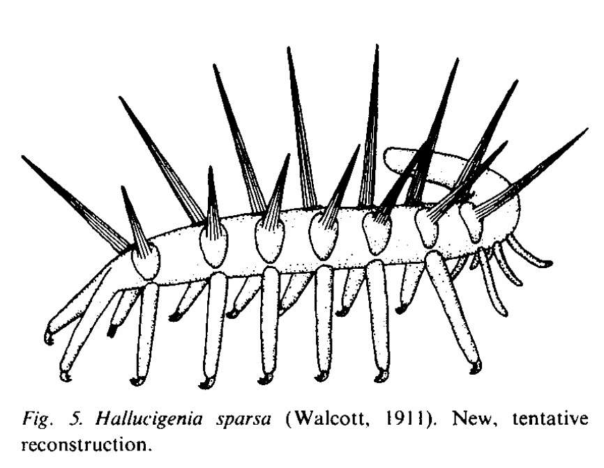 hallUCIGENIA Online-Puzzle vom Foto