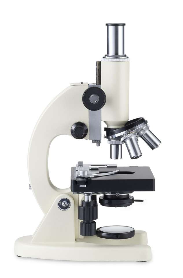 mikroskop puzzle online z fotografie