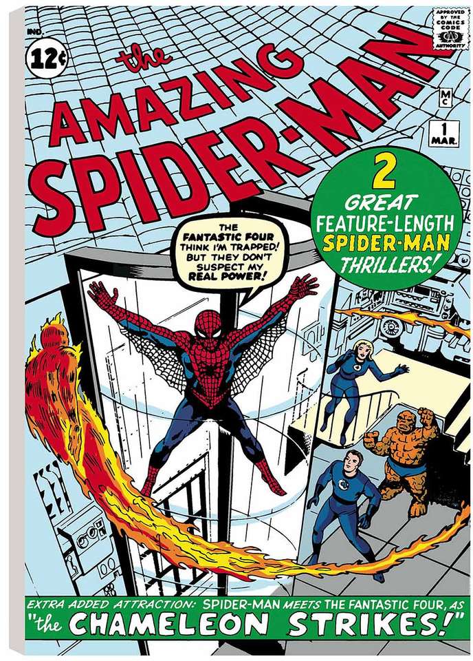 Fantastisk Spider-Man 1 pussel online från foto