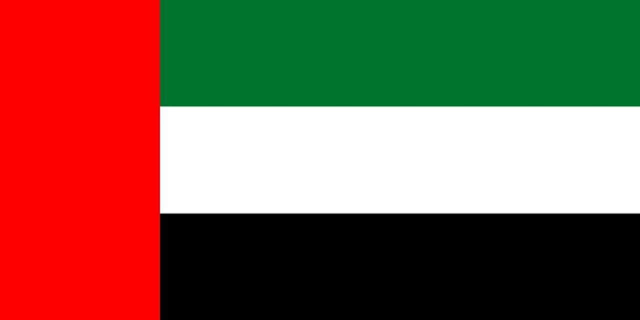 Steagul Emiratelor Arabe Unite puzzle online din fotografie