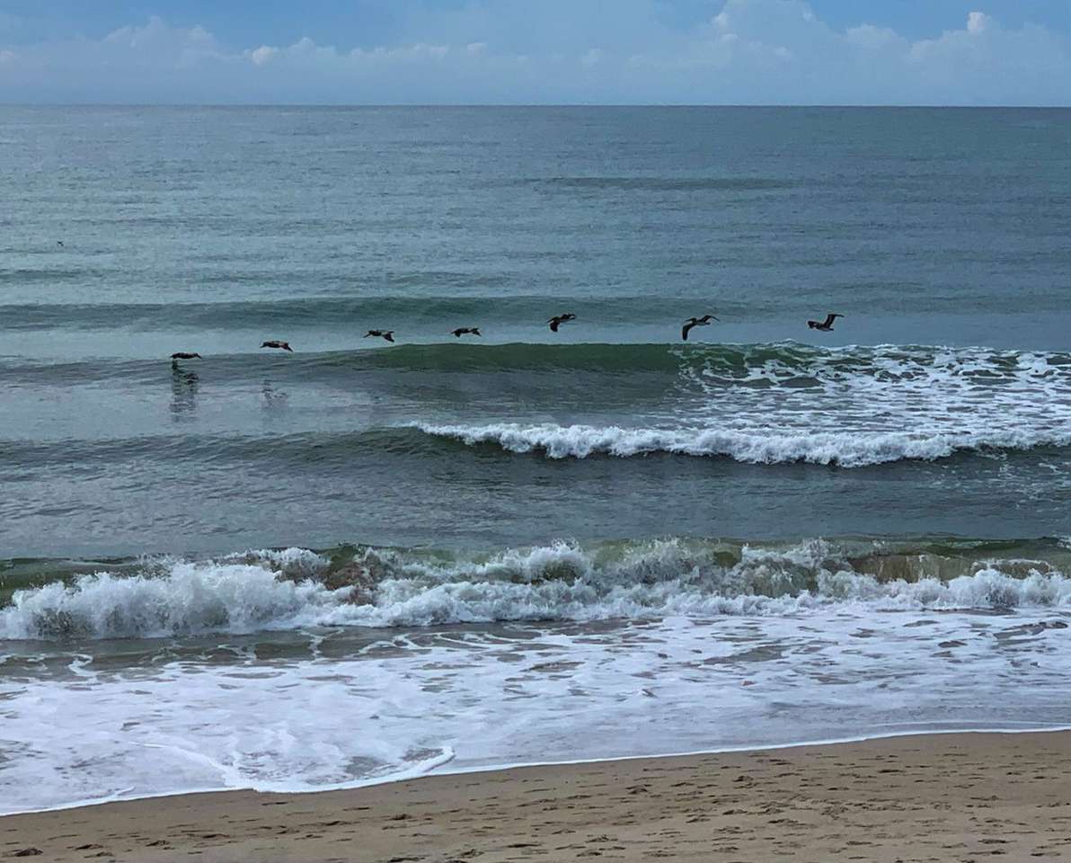 havets strand pussel online från foto