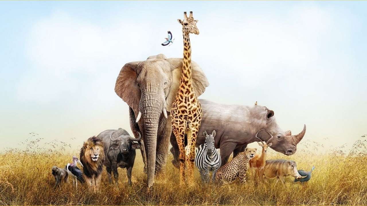 animais da savana puzzle online a partir de fotografia