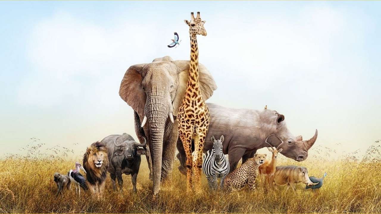 animali della savana puzzle online da foto