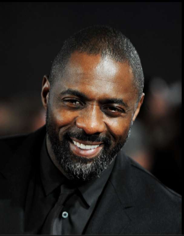 Idris Elba Pussel online