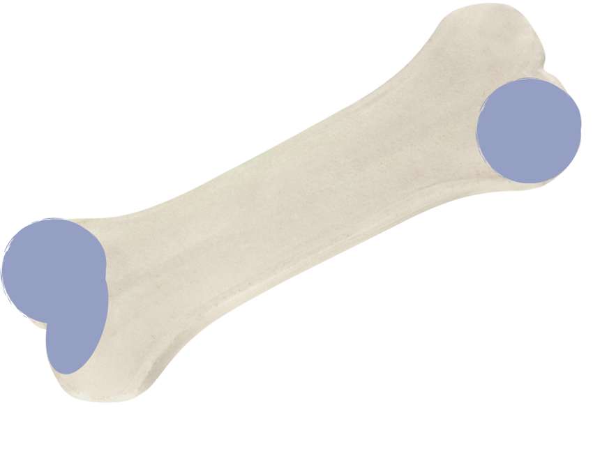 Kroppens ben pussel online från foto